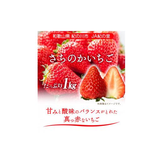 ふるさと納税 和歌山県 紀の川市 さちのかいちご 約1kg JA紀の里農業協同組合 《2024年2月上旬-3月末頃より順次出荷》 和歌山県 紀の川市 果物 フルーツ