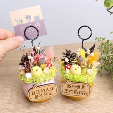 訂製-小日鳥金蛋/粉蛋乾燥花名片夾盆栽 開運招財 生日新年禮物