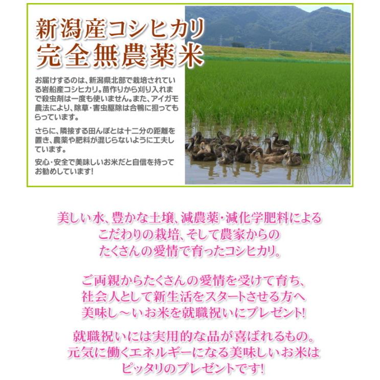 就職祝い プレゼント お米 2kg 農薬不使用 希少米コシヒカリ 無洗米 新潟米 人気 お礼の品 お返し 送料無料