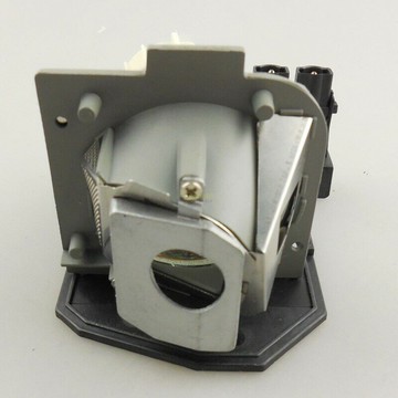 OPTOMA-OEM投影機燈泡BL-FS180B /SP.88N01GC01/適用機型DS306、DS309、DS312