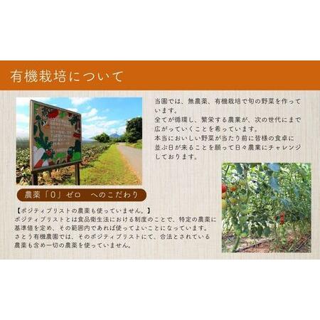 ふるさと納税 A-552 旬の野菜セットA 5~6品目 有機栽培 オーガニック 産地直送 野菜 さとう有機農園 おまかせ 旬野菜 春夏野菜 秋冬野菜 葉物 根.. 大分県宇佐市