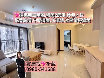 楊梅交流道.金山街.楊明商圈美裝2房車｜桃園市楊梅區金山街