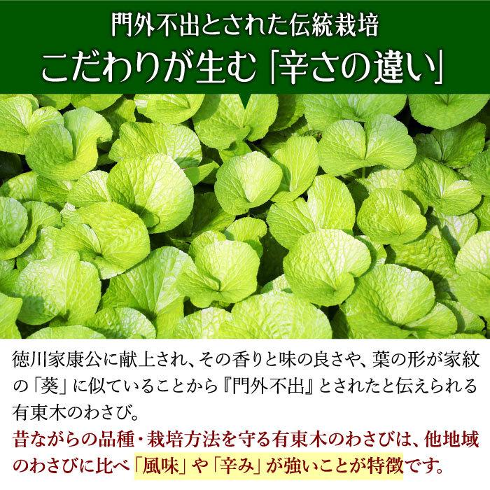 わさび栽培発祥の地「有東木」の本わさび　特大サイズ1本（1本100g以上） ワサビ 山葵 静岡 有東木 送料無料