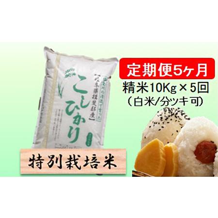 ふるさと納税 特別栽培米★[定期便] 5カ月★毎月 精米10kg（白米 7分 5分ツキ可）　玄米は別に出品 岐阜県池田町