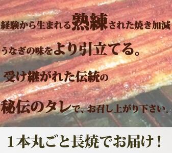 お魚のバラエティ定期便  （塩サバ・甘口塩銀鮭切身・うなぎ蒲焼）