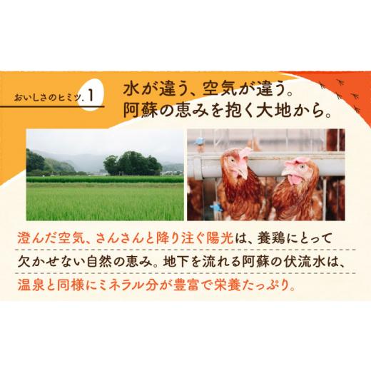 ふるさと納税 熊本県 山鹿市  赤たまご M玉 40個 (37個＋割れ保証3個) [ZCA003] 贈答  鶏卵 玉子