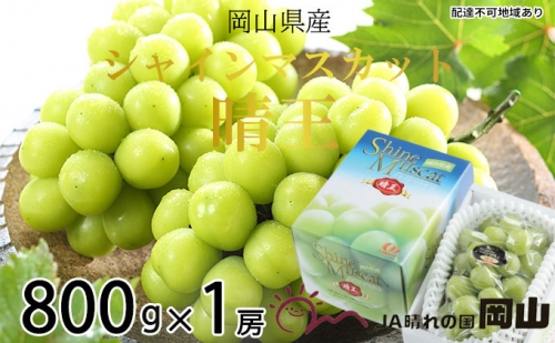 ぶどう ［2023年先行予約］ シャインマスカット 晴王 約800g×1房 岡山県産 2023年7月中旬～2023年8月中旬発送分
