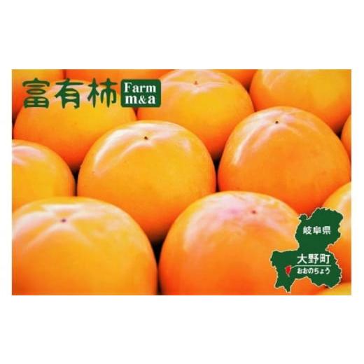 ふるさと納税 岐阜県 大野町 甘くておいしい岐阜の柿「富有柿」2L×12個（約3.3kg）