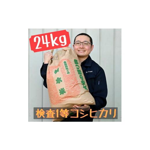 ふるさと納税 栃木県 さくら市 栃木県産 コシヒカリ 玄米24kg