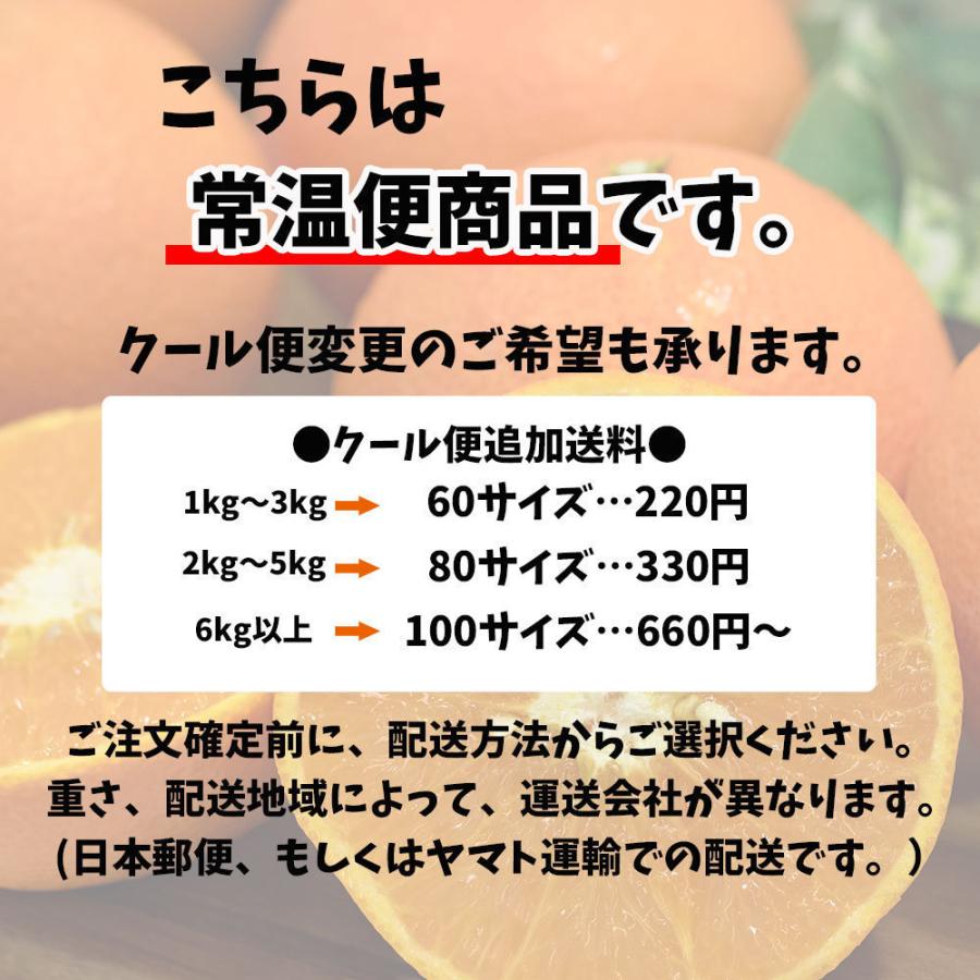 シルクスイート 千葉県産 茨城県産 いずれか さつまいも 約5ｋｇ 送料無料 M〜3L