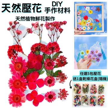 【A-ONE】乾燥壓花 押花材料 永生花 植物花卉 手帳 DIY花朵 貼畫 標準包-紅粉知己 BB02_廠商直送