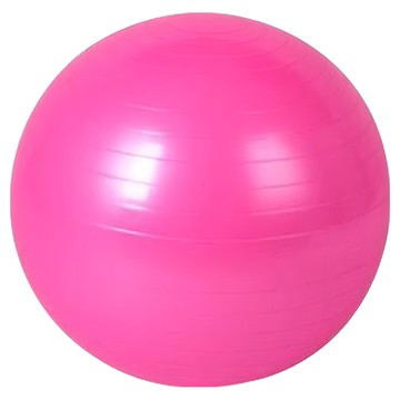 LifeHouse 防爆加厚瑜珈球  65cm  粉紅色