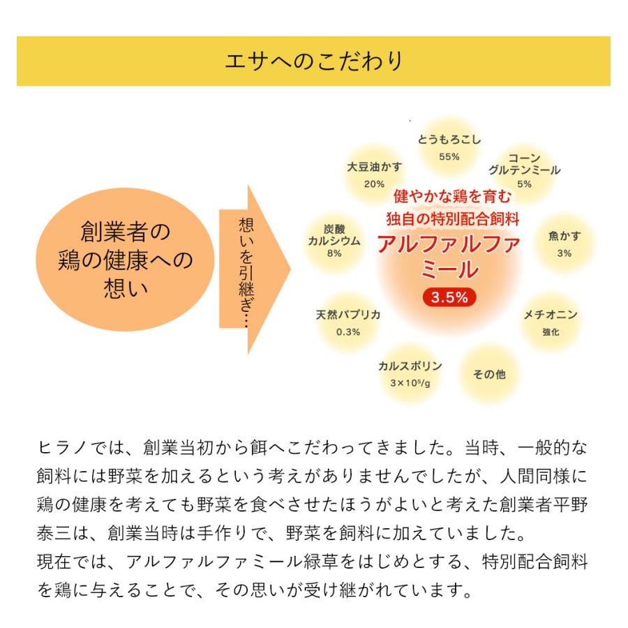 　九州産　輝黄卵　（玉子・たまご・卵・タマゴ）　10玉パック　福岡産・九州産　九州　たまご