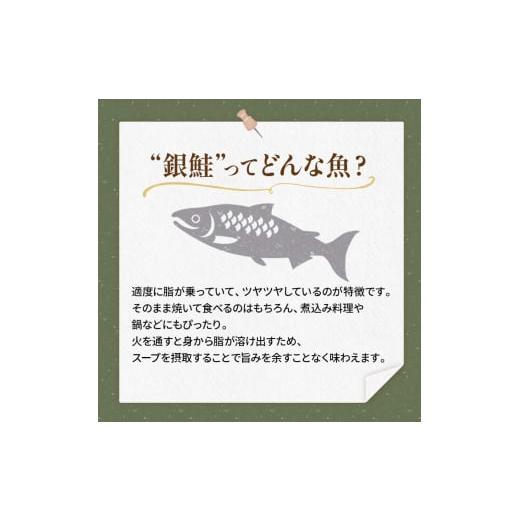 ふるさと納税 北海道 釧路市 銀鮭 3切×6ハ?ック 計18切れ 朝ごはんやお弁当に 銀鮭 18切れ 真空保存 甘塩 銀鮭 鮭 しゃけ サケ さけ ご飯のお供 朝食 真空 朝…