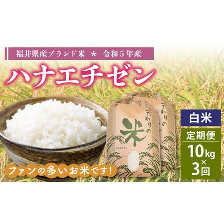 ふるさと納税 定期便≪3ヶ月連続お届け≫ハナエチゼン 10kg × 3回 令和5年 福井県産 [e30-c010] 福井県越前町