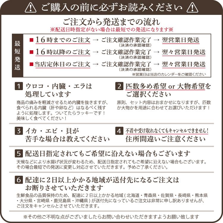 お歳暮 鮮魚ボックス 朝獲れおまかせ鮮魚セット9000円 コース (３種以上)詰め合わせ　 ウロコ・内臓・エラ処理済み