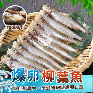 買三送三【歐嘉嚴選】加拿大爆卵柳葉魚-共6包-210G/包(約6~8尾)