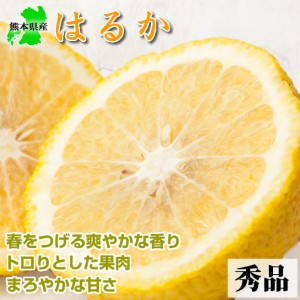 みかん はるか 送料無料 5kg 秀品 熊本県産 ミカン 蜜柑