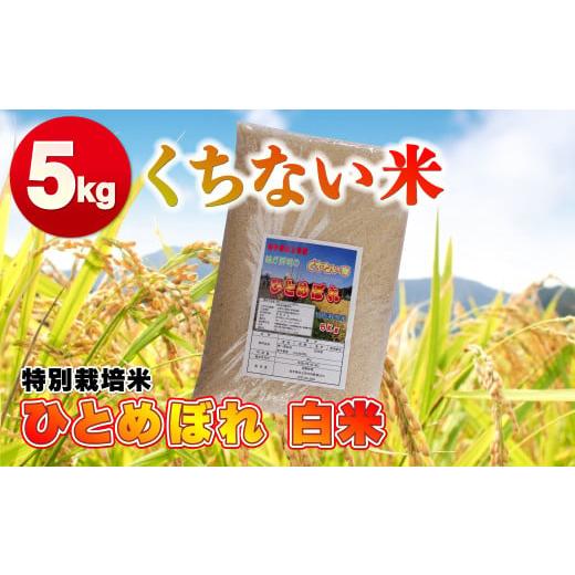 ふるさと納税 岩手県 北上市 令和5年産  くちない米（特別栽培米ひとめぼれ白米）5kg