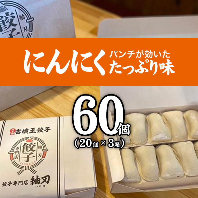 餃子 60個 餃子専門店 取り寄せ 焼餃子 20個×3箱 にんにく味 もっちり ジューシー 皮がパリッ 冷凍 ぎょうざ