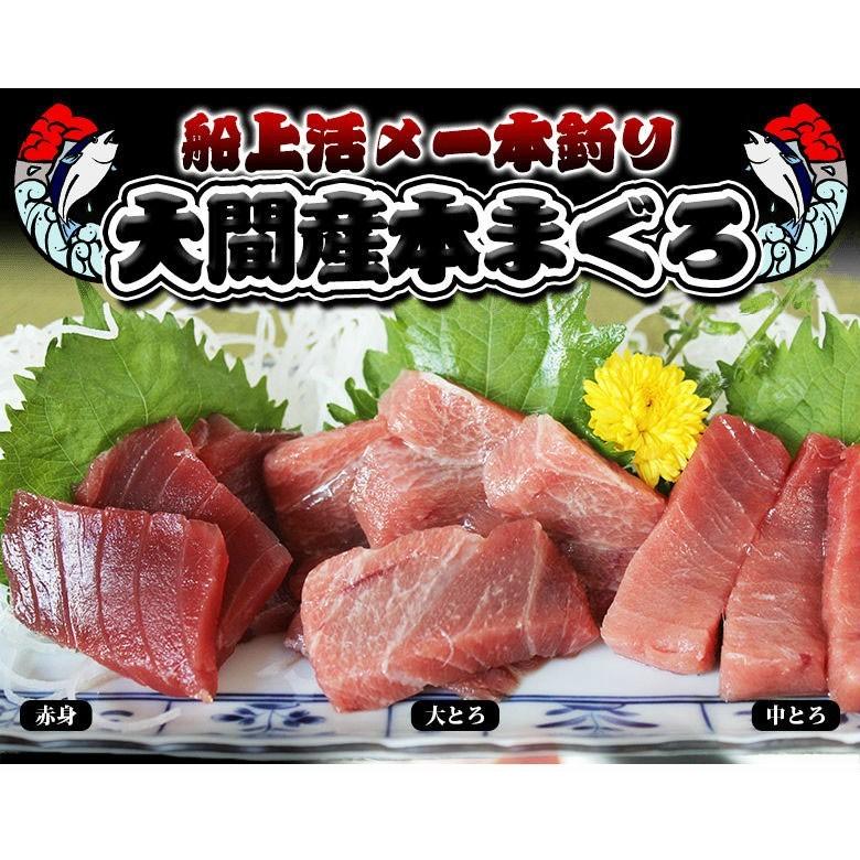 送料無料 マグロ 大間 刺身 青森県産 本 赤身 中トロ セット