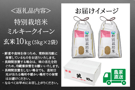 特別栽培米 ミルキークイーン 玄米 5kg×2袋（計10kg） 農薬不使用 化学肥料不使用 ／ 高品質 鮮度抜群 福井県産 ブランド米 あわら産 ブランド米