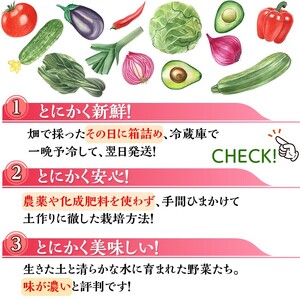 ＜アスカ有機農園＞旬の京野菜セットS＊毎月お届け全4回≪定期便 セット ふるさと納税野菜≫