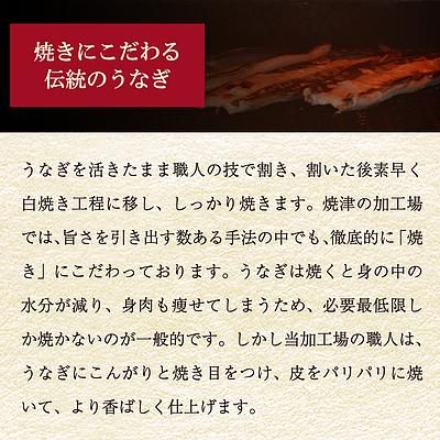 成城石井バイヤーセレクト！静岡うなぎ漁業協同組合 静岡県産うなぎ長蒲焼 3尾セット(1尾約120g×3パック)   今月のおすすめ