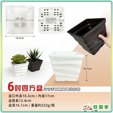 【綠藝家】ET四方盆6吋(黑色、白色)兩色可選