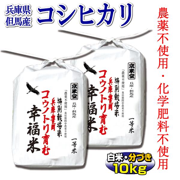 新米 お米 10kg コシヒカリ 農薬不使用 特別栽培米 5kg×2 兵庫県 但馬産 コウノトリ育む幸福米 一等米 送料無料 令和5年産