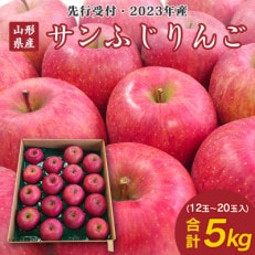 山形県産サンふじりんご 約5kg (12～20玉入り)