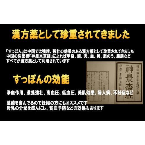 すっぽん鍋セット3〜4人前　 すっぽん お取り寄せ コラーゲンたっぷり スッポン鍋 スッポン料理