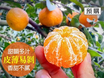 有橘味超甜砂糖橘3斤
