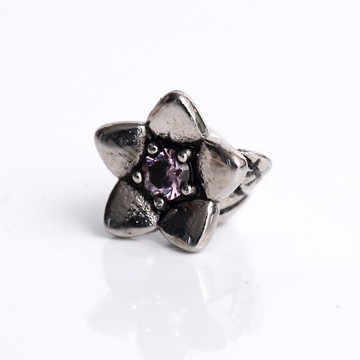 CHARMS 五花瓣花蕊水鑽串珠【NT120】柒彩年代