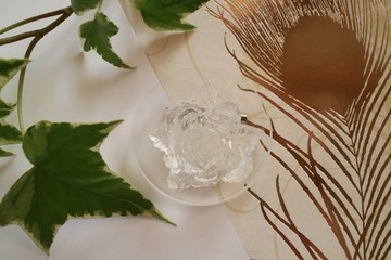鮑姆花胸針