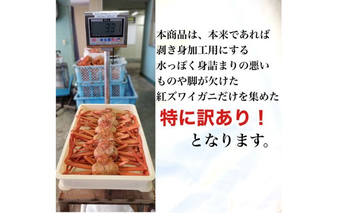 魚卸問屋のベニズワイガニ 約3kg