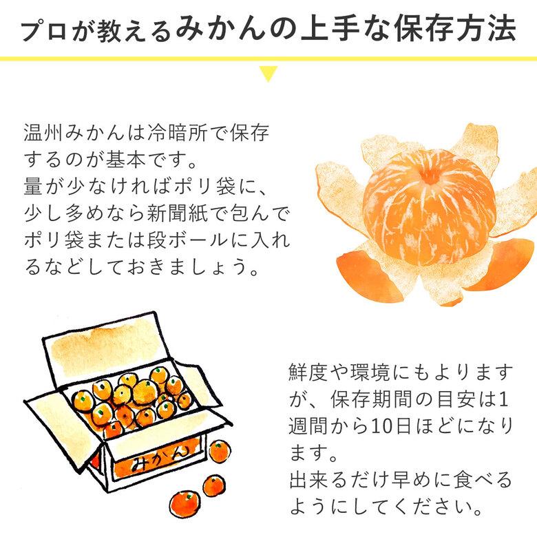 送料無料 長崎小玉みかん 約3kg 秀 優品 産地直送 長崎県 長崎 温州みかん みかん 約 3kg 長崎県産 長崎みかん 国産 国産みかん 小玉 通販 箱買い