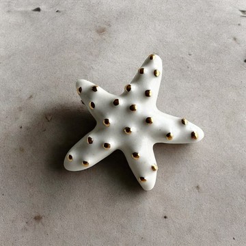 陶製胸針 海星