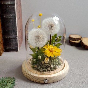 【蒲公英】玻璃鐘罩小夜燈│永生花│乾燥花