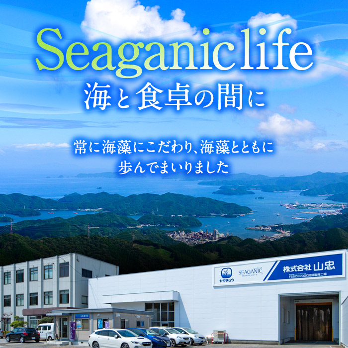 ひじき白和えの素 (合計900g・60g×15袋) ひじき 白和え 国産 大分県 常温 大分県 佐伯市