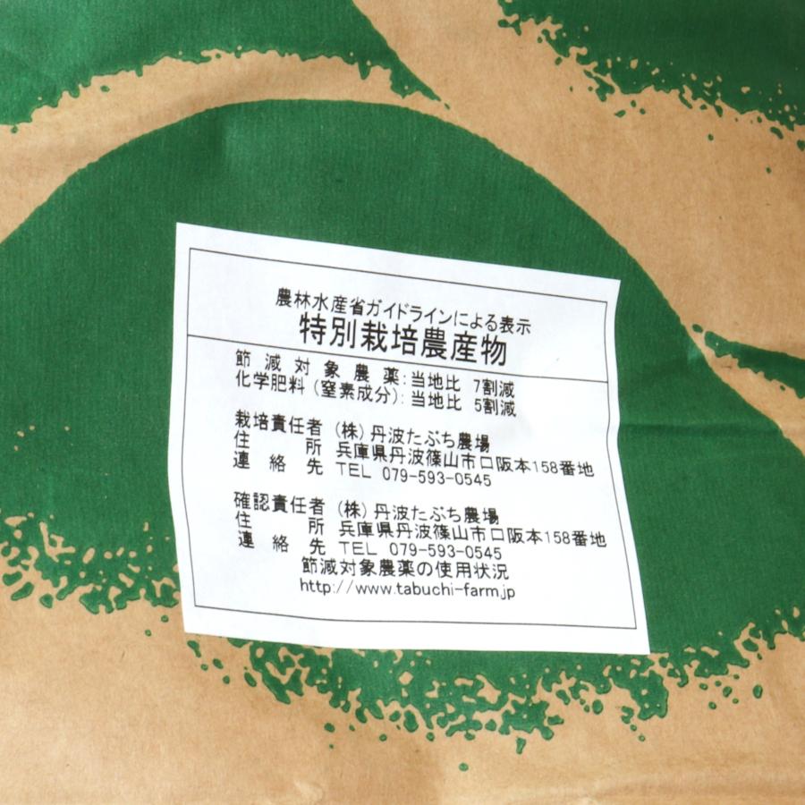 兵庫県丹波篠山産コシヒカリ 10Kg 　丹波たぶち農場（令和５年産）