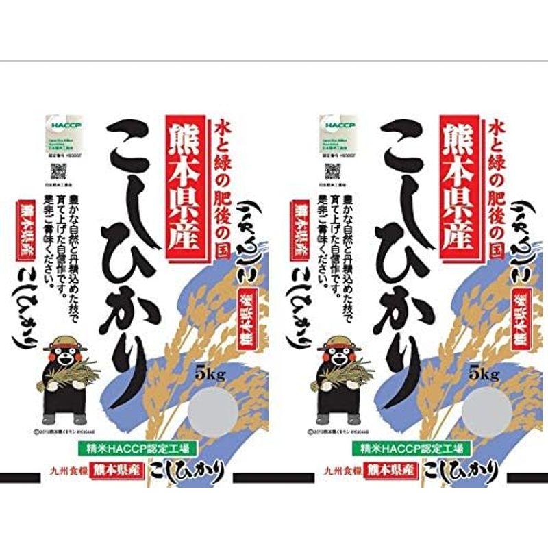 米 お米 １０ｋｇ （５ｋｇ×２） 熊本県産 くまモン こしひかり 白米 令和４年産