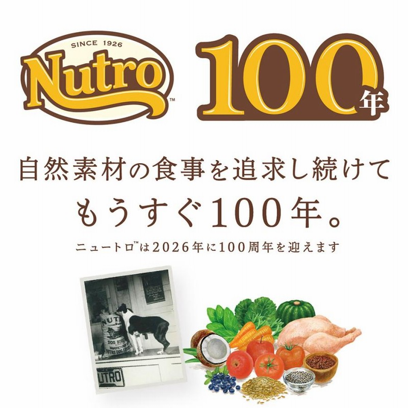 ナチュラル チョイス™ 中型犬～大型犬用 [成犬用] ラム＆玄米