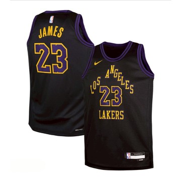 NBA Nike 洛杉磯 湖人 詹姆士 Lakers Lebron Jame Youth 籃球衣 球衣