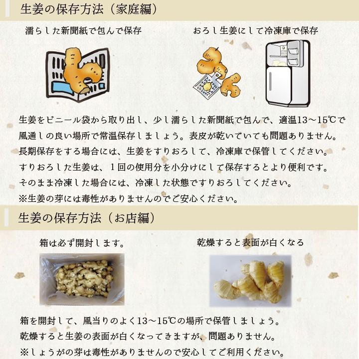 食用 高知県産 特別栽培 近江生姜（白）3kg