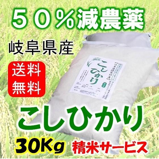 令和５年産岐阜県産 コシヒカリ 玄米30Kg（10kg×3）分ツキ可（こしひかり)