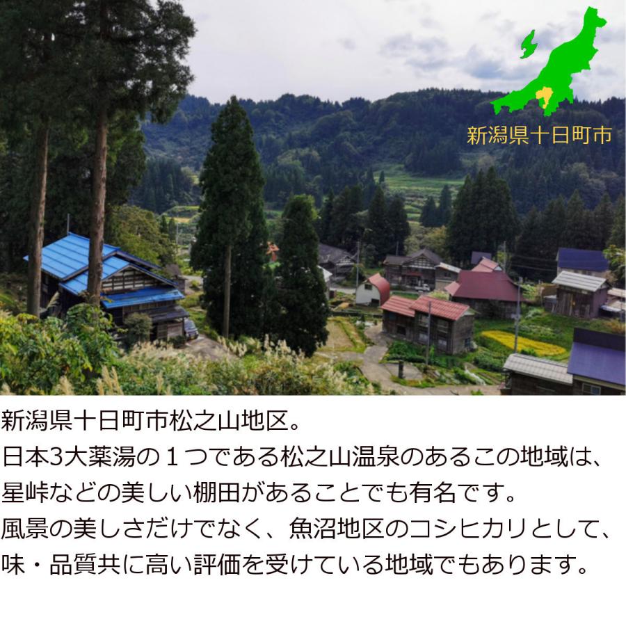 新潟県 十日町市産 魚沼コシヒカリ 新宅棚田米 令和5年産 玄米 30kg