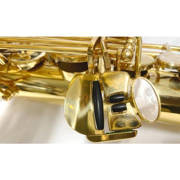 Antigua (アンティグア) TS2800 エルドン テナーサックス 新品 アウトレット ラッカー 管楽器 eldon tenor saxophone gold　北海道 沖縄 離島不可