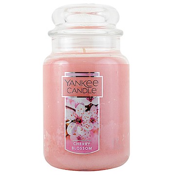 YANKEE CANDLE 香氛蠟燭-櫻花香氛 623g