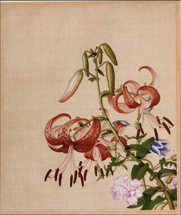 仿古畫名畫復制品清郎世寧百合花牡丹圖47-39厘米花鳥畫中國畫字